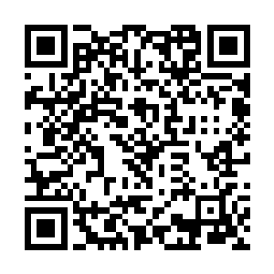 这也意味着她将来的战力要比普通同阶修士高上数倍二维码生成
