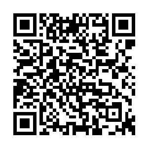 这也是为了保证这个机构行动的决策力和执行力二维码生成