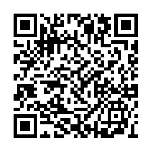 这也是为了防止狗的丢失还有管理狗的身体健康二维码生成