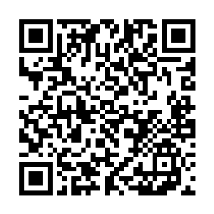 这也是为什么他能一直在这里守着他的安乐窝的原因二维码生成