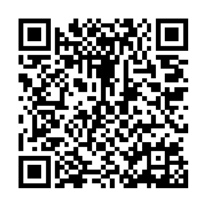 这也是为什么你直播时长那么短但酬劳却仍然很可观的原因二维码生成