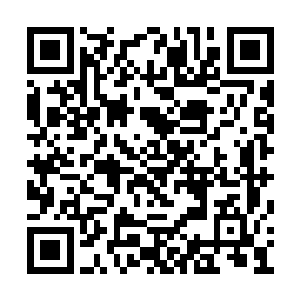 这也是为什么唐天在圣域没有见过有人领悟法则二维码生成