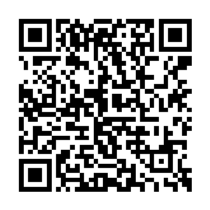 这也是为什么她干爸给她一把银色小手枪的原因二维码生成