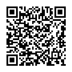 这也是为什么孙长云他们的损失会这么大的原因二维码生成