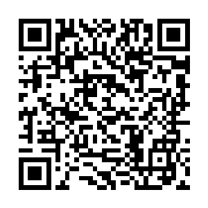 这也是为什么我不将安雅琳接到鬼世界来的重要原因二维码生成