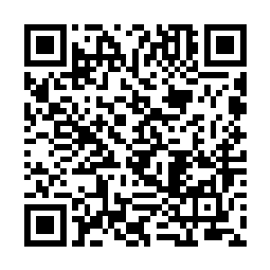 这也是为什么我最先要用桃木剑划开周亮额头的原因二维码生成