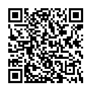 这也是为什么蛇女在发出了耀眼万丈的光芒之后二维码生成