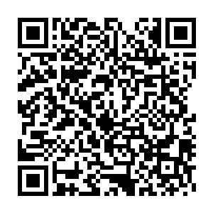 这也是为什么野狗们看到全副武装的捕狗大队会这么紧张害怕的缘故了二维码生成