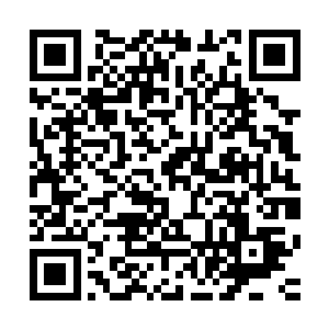 这也是为什么魏厨子一直十分好笑的跟着我们闹来闹去的原因二维码生成