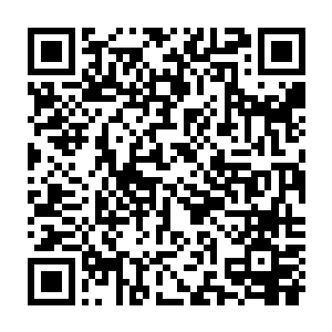 这也是为什么齐王城现在有越来越多的大家族大生意愿意搬来的原因了二维码生成