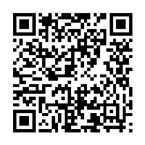 这也是为何他不去求凤君泽而是来找她帮忙的原因二维码生成