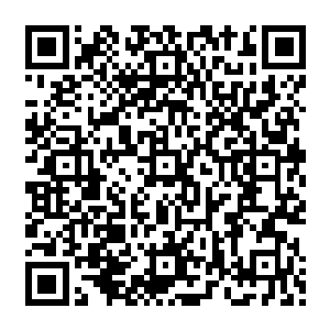 这也是为何有的人被自己所爱所亲之人伤害的遍体鳞伤依旧不忍心对对方下狠手的缘故吧二维码生成