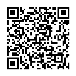 这也是为何洛水城兵甲境巅峰强者历年来不知多少二维码生成