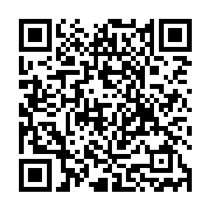 这也是为何静天宗无上长老和宗主看到你施展凤凰之翼二维码生成