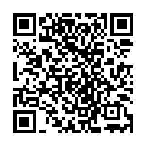 这也是他为什么要这两个人加入冥王佣兵团的主要原因二维码生成