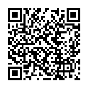 这也是他做了几十年执法堂堂主而没有异议的原因二维码生成