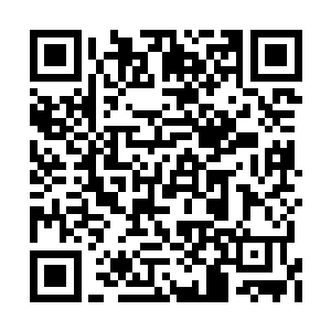 这也是他能避过那些嗅觉灵敏的追踪虫兽的原因二维码生成