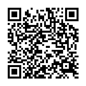 这也是决定他能不能拿下大学城那个工程的重要的会议二维码生成