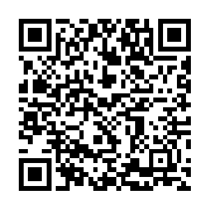 这也是副总统不辞辛劳万里赶来参加机甲大赛的真正原因二维码生成