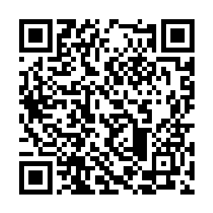 这也是北大生物系第一次如此大规模的为杨锐造势二维码生成