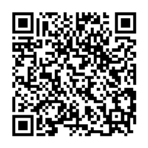 这也是卢八娘到京城后没有在任何公开的宴会上见到卢七娘的原因二维码生成
