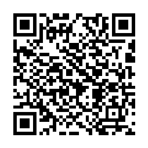 这也是因为他想把杨洛留在身边当成他的得力助手二维码生成