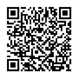 这也是因为她知道他们不可能害了她性命的原因二维码生成