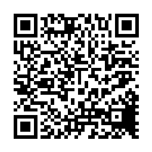 这也是她当初为什么会争取投资人这个位置的重要原因之一二维码生成