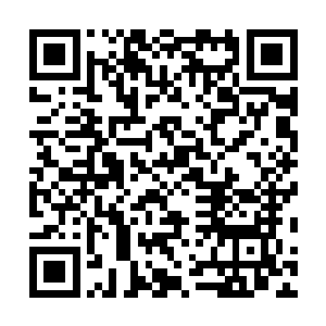 这也是如今虚空世界出身的武者能够百花齐鸣的主要原因二维码生成