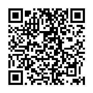 这也是学子们多少年来才有机会看到的天心巅峰级的战斗二维码生成