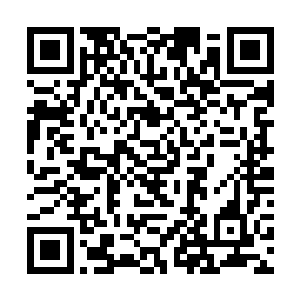 这也是宸王会让星木和星火两人在一夜未睡的情况下二维码生成