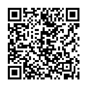 这也是布拉德在美国主流颁奖典礼的第一个正式提名二维码生成