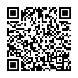 这也是我所担心的事情――钢五和大金牙狗咬狗二维码生成