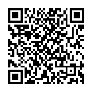 这也是我第一次如此置身在这样子巨大的一个怪物的口腔之中二维码生成