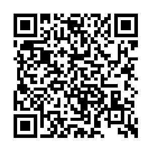 这也是整个基地从内部看上去最高大宏伟的建筑二维码生成