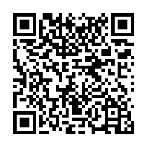 这也是洛杰布遇险时候苍鹰能够舍命护主的原因吧二维码生成