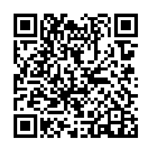 这也是洪涛选择先接近瓦妮萨再接近伊丽萨的原因二维码生成