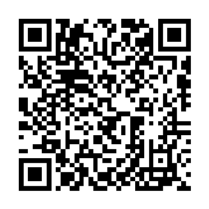 这也是秦方能够看得到的裸露在外的部位……没办法二维码生成