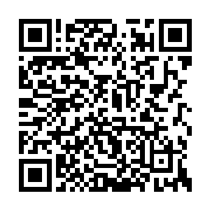 这也是那一段时间里厉倾城的美容院经常被查封二维码生成