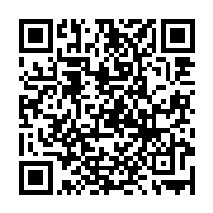这也是风琛宗为什么放心的带着众人来找天晶的原因二维码生成