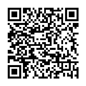 这也直接导致了罗彻斯特军事资源公司进一步壮大二维码生成