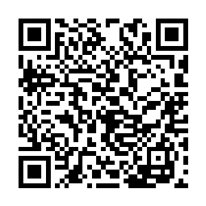 这也能解释为什么转轮王总是被其他的殿主排斥了二维码生成