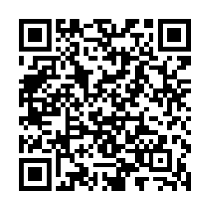 这也要求政法系统要有一支能够扛得起重担的队伍来二维码生成