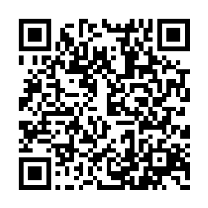 这也让凌兰一度认为自己的机甲操控很糟糕……二维码生成