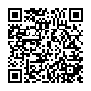 这也让曼城的球迷们对曼城新赛季的成绩充满了信心二维码生成