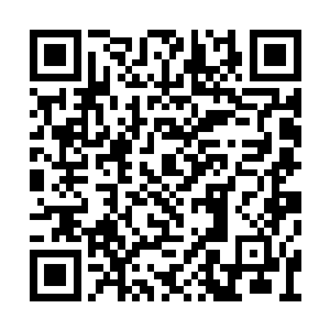 这也让死神联盟在人数也获得了比较明显的优势二维码生成