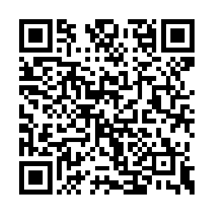 这也让那个世界孕育出的生命都是那么残暴诡异二维码生成