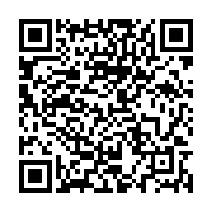 这也足以令燕山魂看向金星的目光露出了一丝敬重二维码生成
