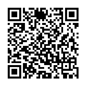 这书房里除了一扇门意外根本没有别的地方能够给她躲避二维码生成
