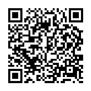 这乳娘无意中见到了祥瑞――楚璃送给微浓的那只熊二维码生成